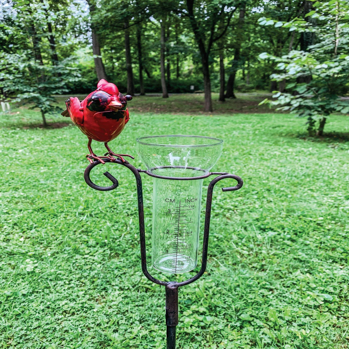 Red and Clear Cardinal Rain Gauge with Stake I36867