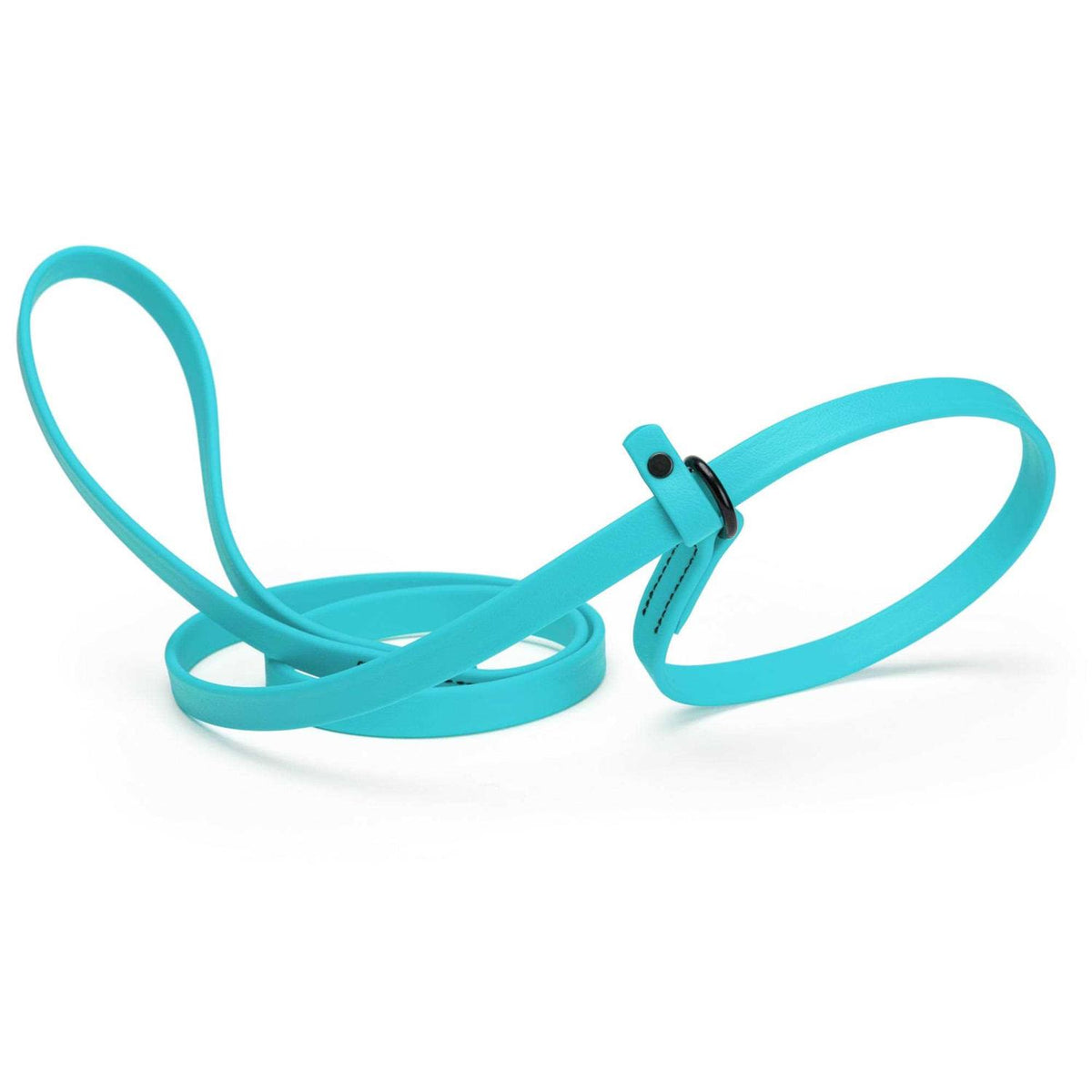 Biothane Slip Dog Leash H688760