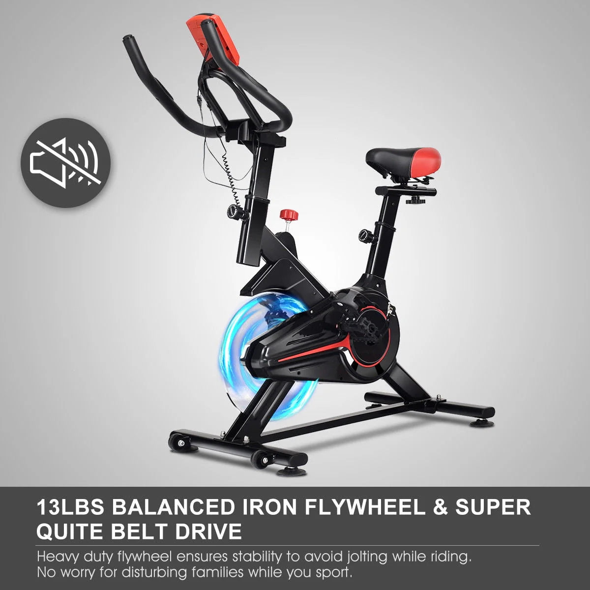 Indoor Cycling Bike with LCD Display E5209