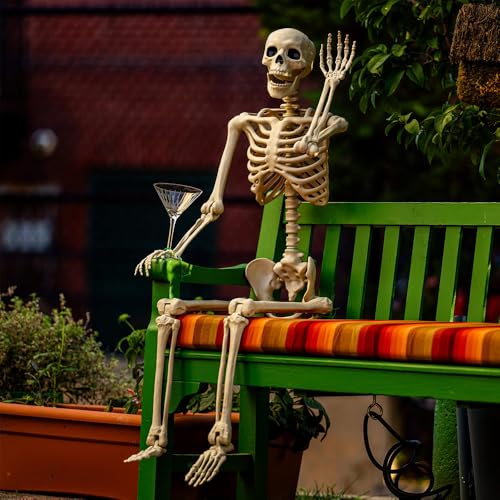 5.4 ft Life Size Posable Plastic Skeleton Y22234