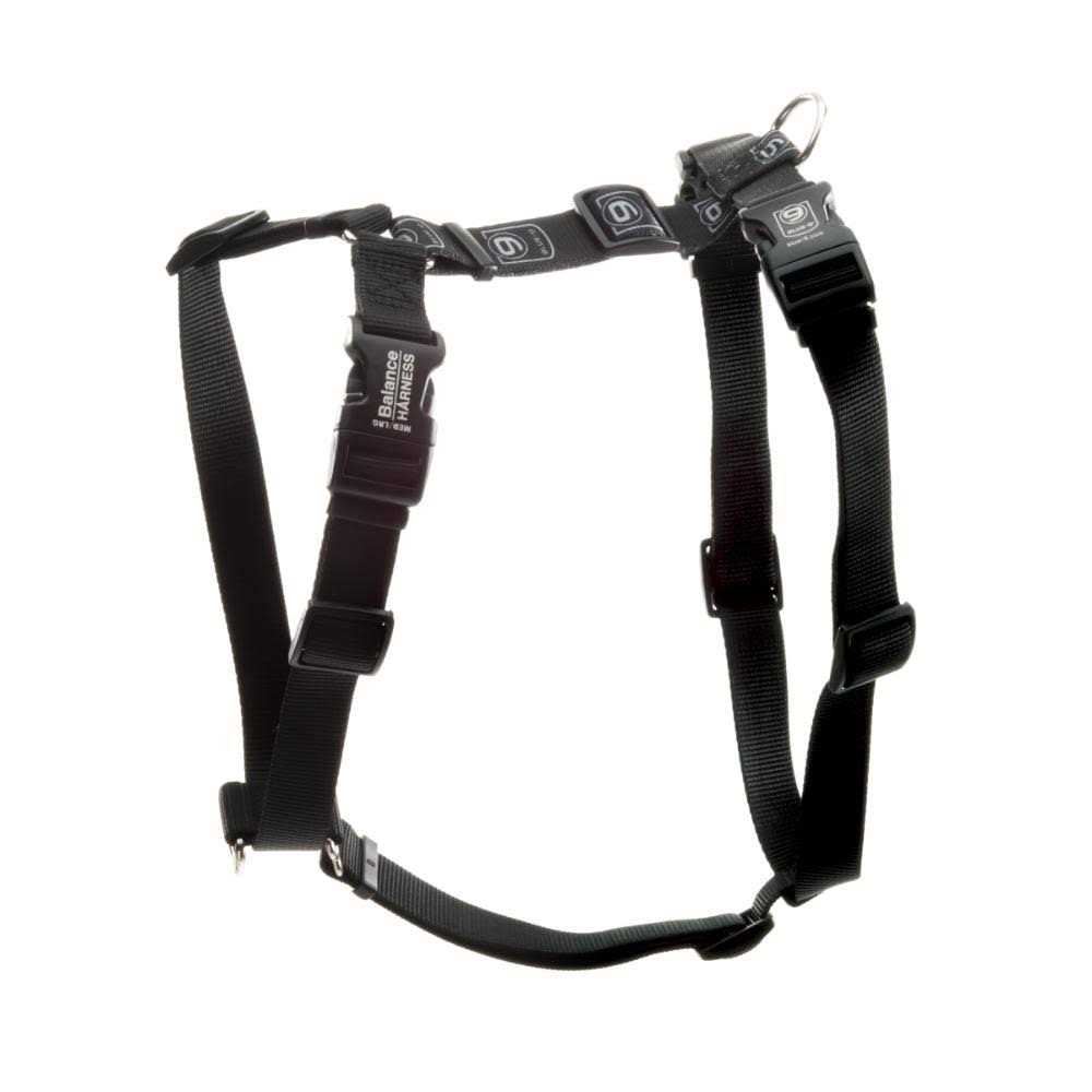 Buckle-Neck No-Pull Dog Harness S129
