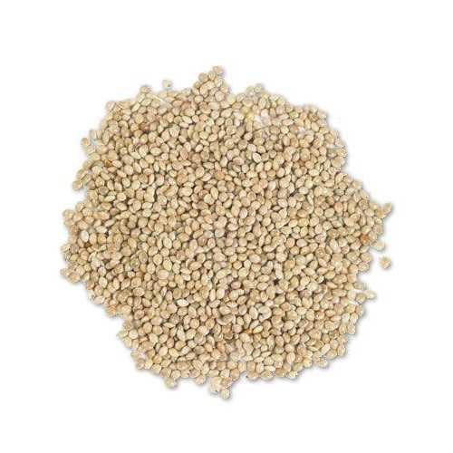 White Proso Millet Wild Bird Food, 50-Pound H6653