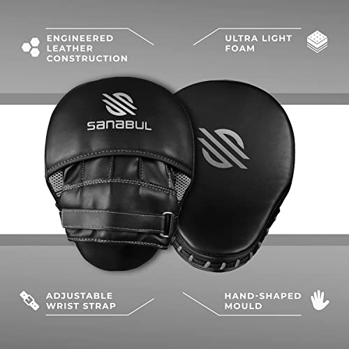 Curved Punching Mitts for Boxing U8242