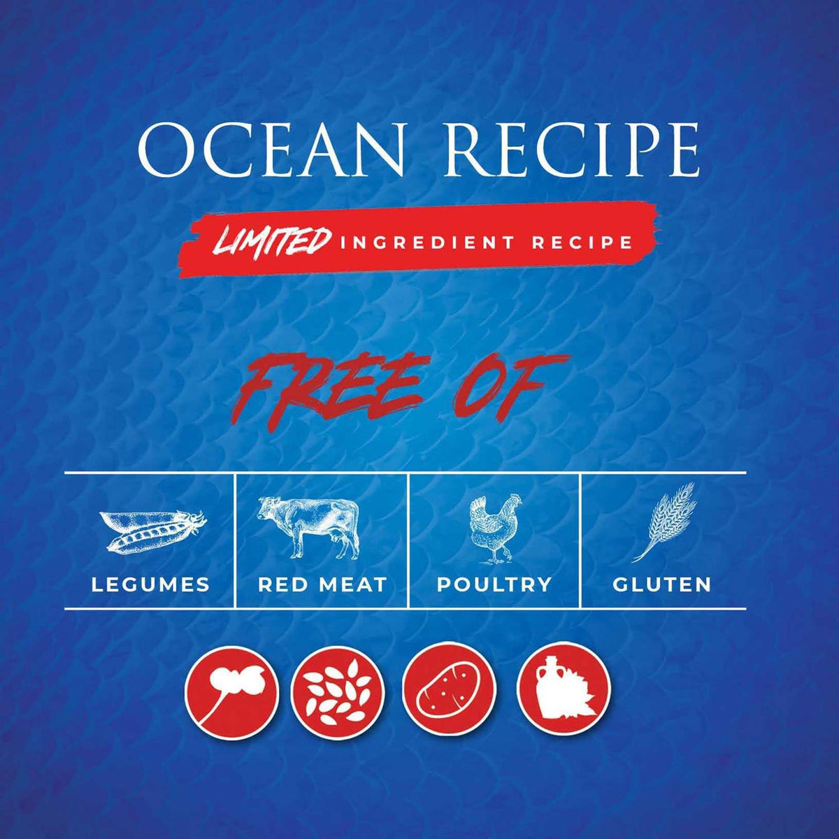 Ocean Recipe Dog Dry Food S855864