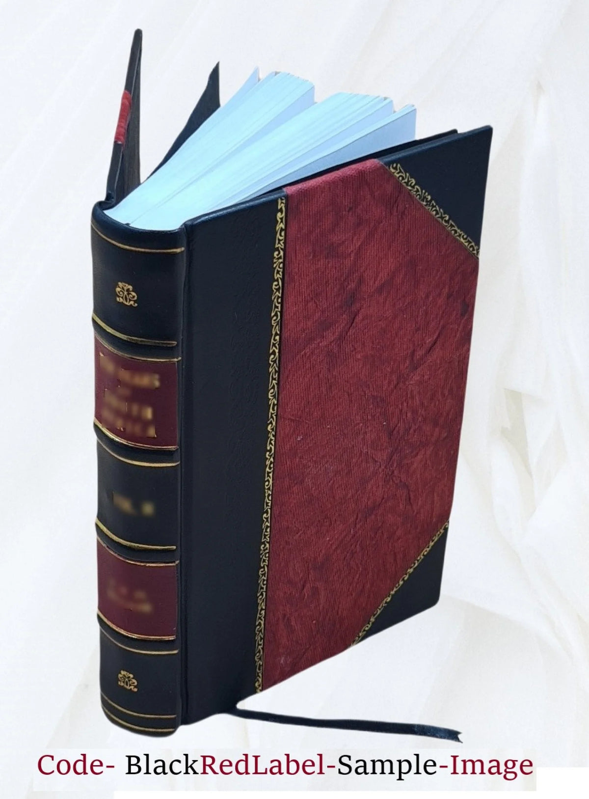 1906 Leather Bound G4654