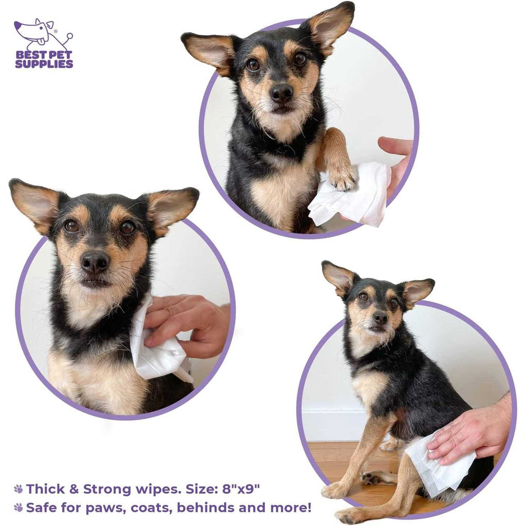 Pet Grooming Wipes for Dogs & Cats E37564
