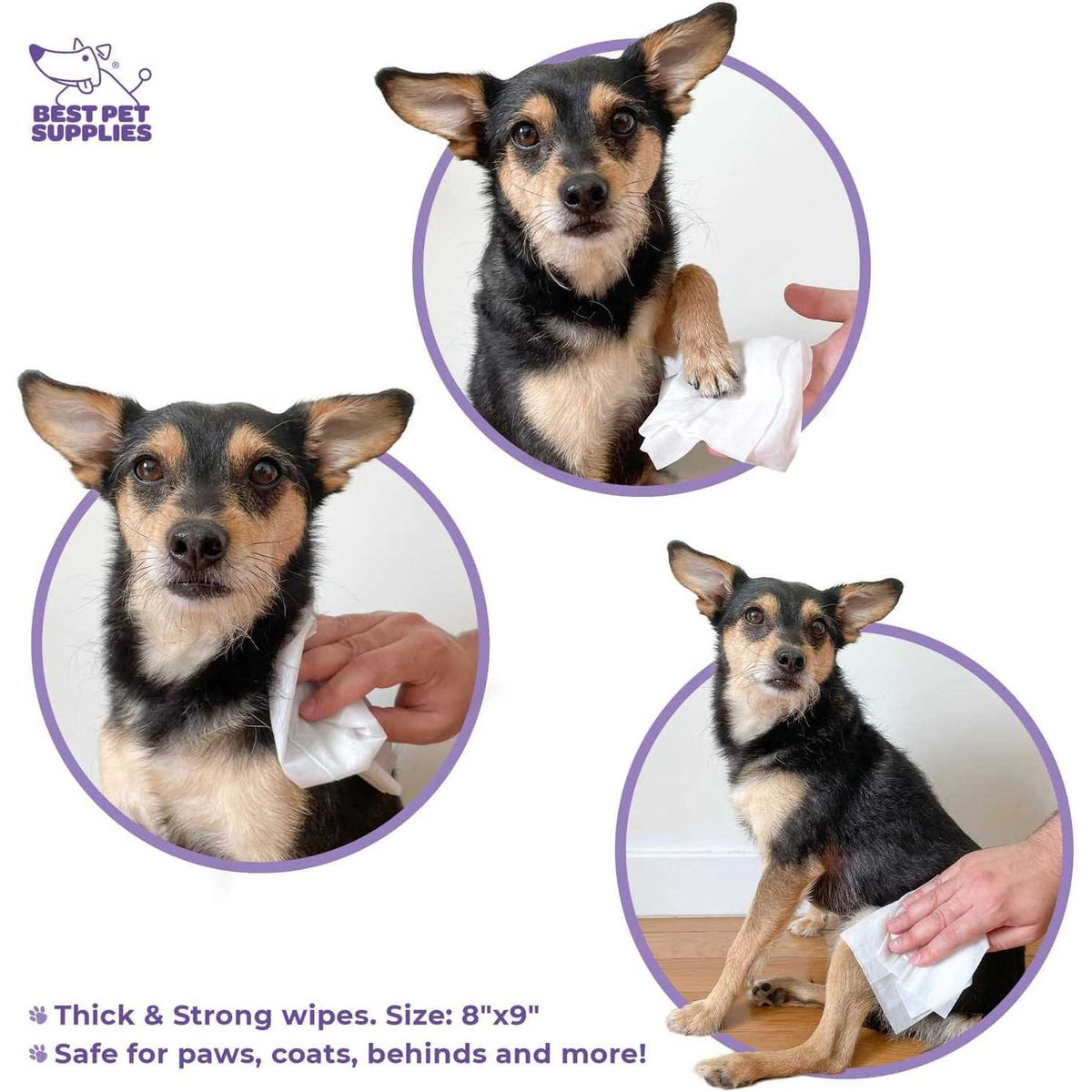 Pet Grooming Wipes for Dogs & Cats E37564
