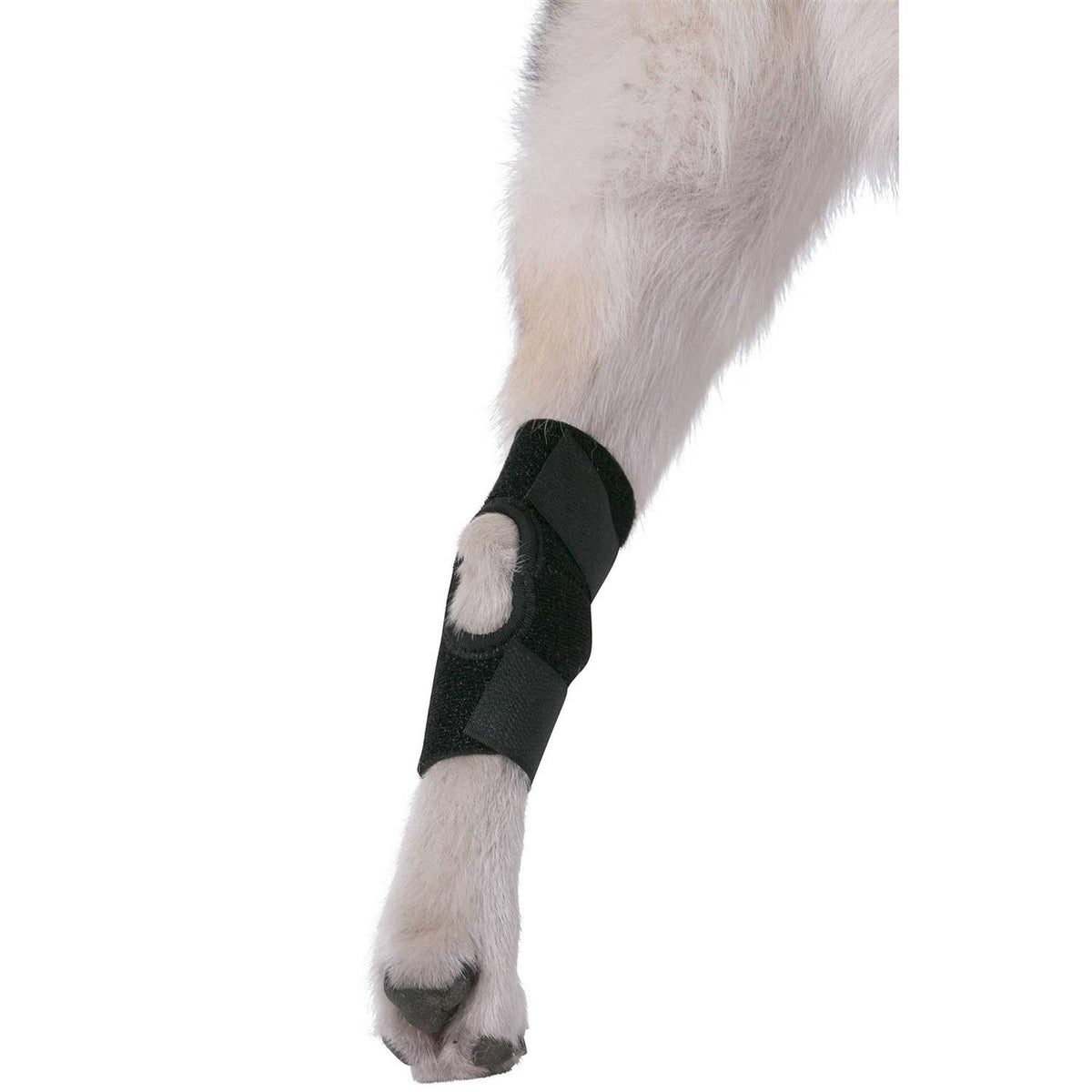 Dog Rear Hock Joint Brace Compression Wrap With Straps M971978