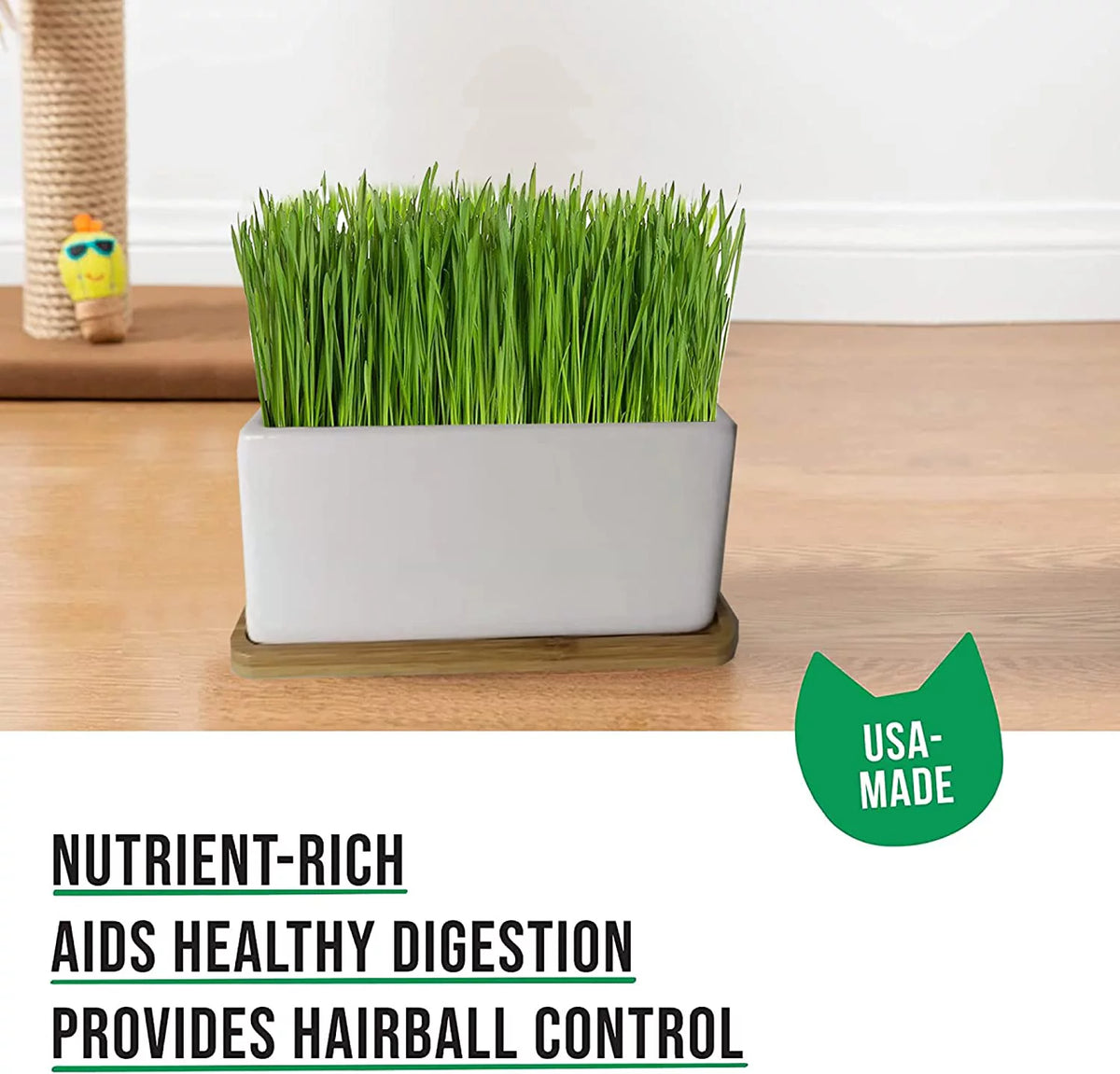 Organic Cat Grass Growing Kit with Seed Mix, Soil and Ceramic Planter H55793