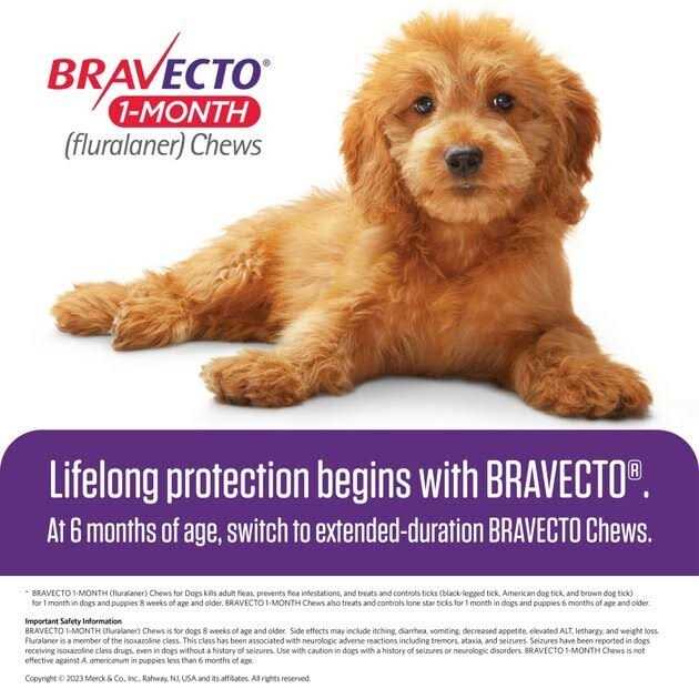 1-Month Chews for Dogs 22-44 lbs E620