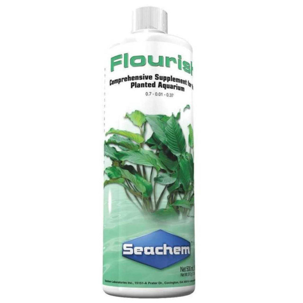 Flourish K524124