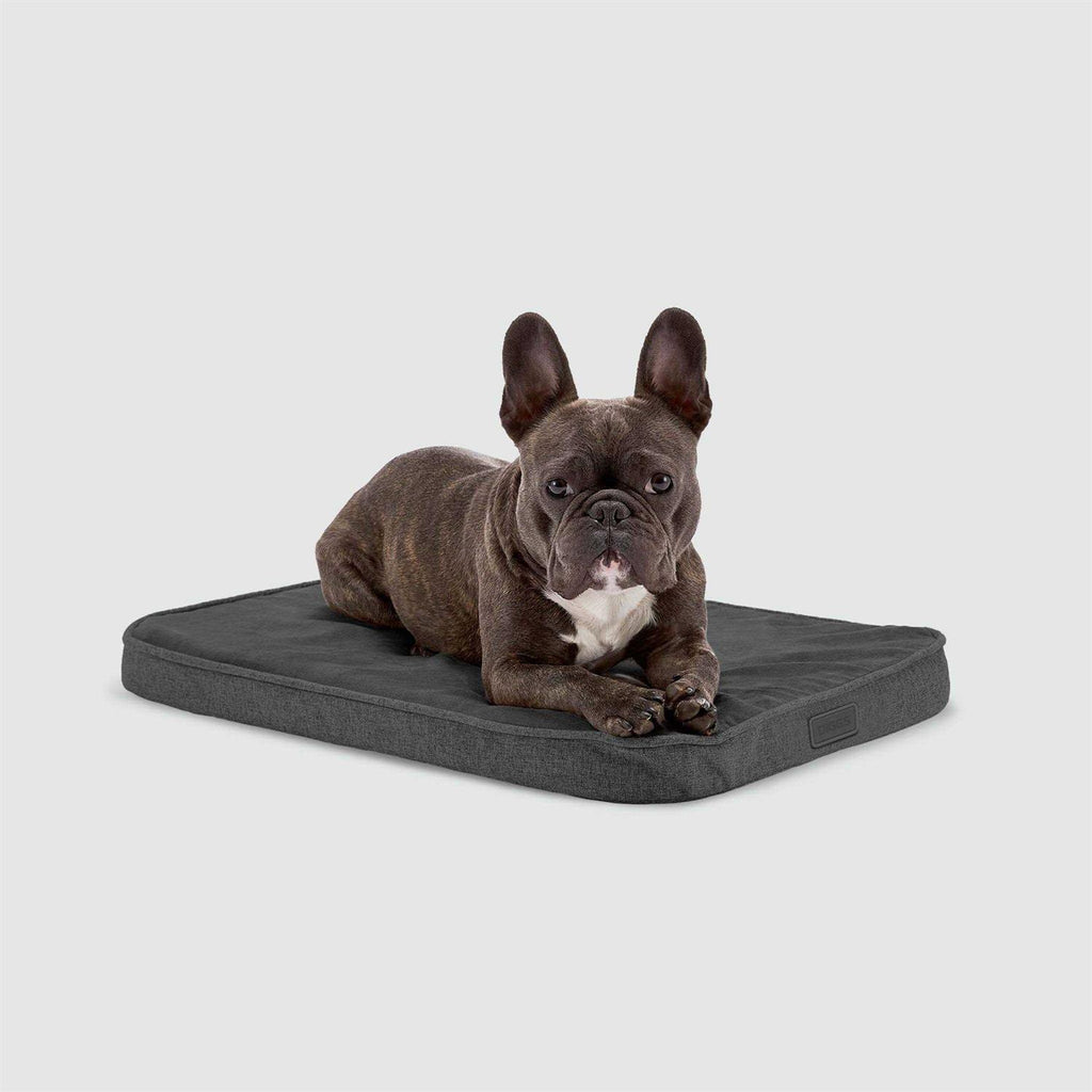 Memory Foam Dog Bed W8737