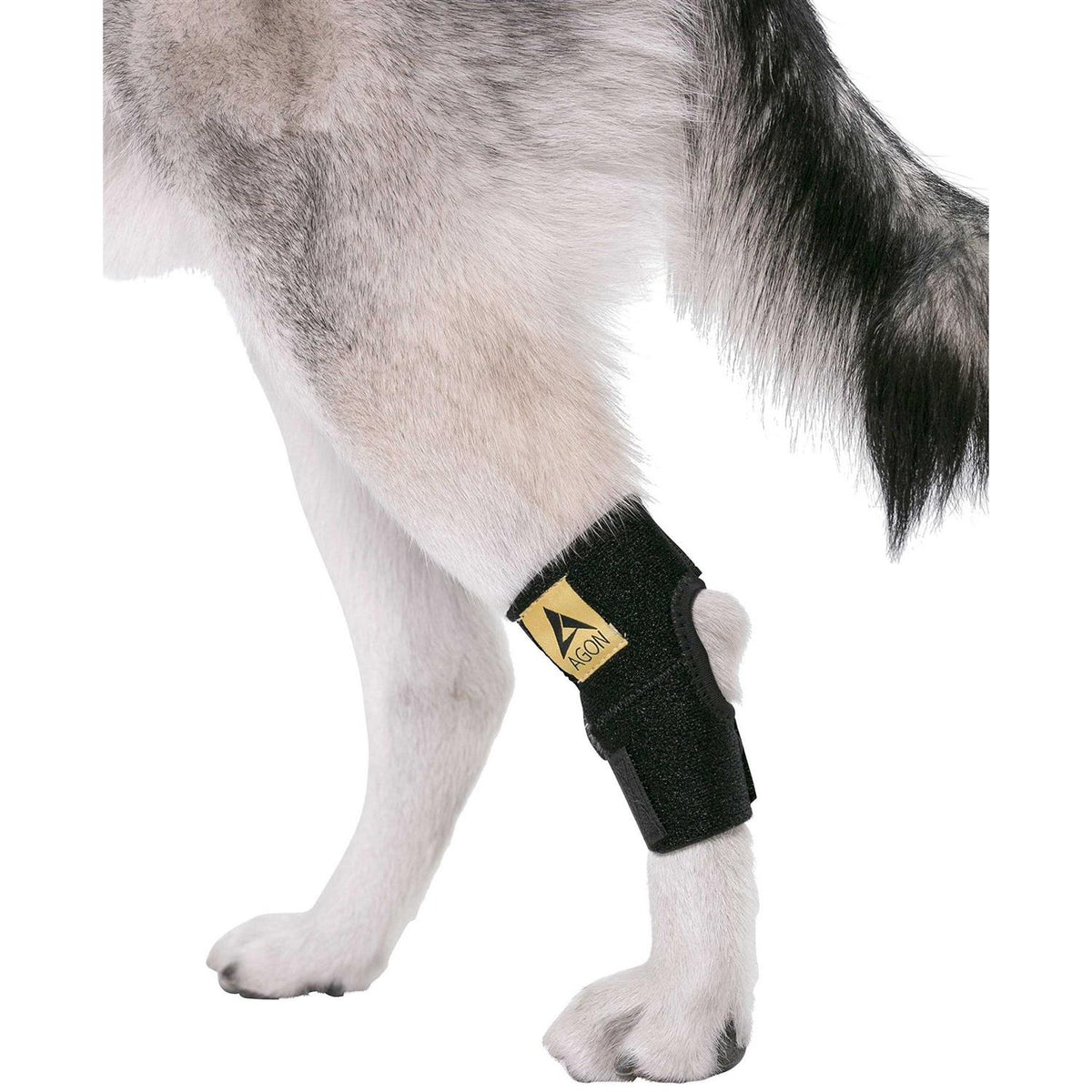 Dog Rear Hock Joint Brace Compression Wrap With Straps M971978