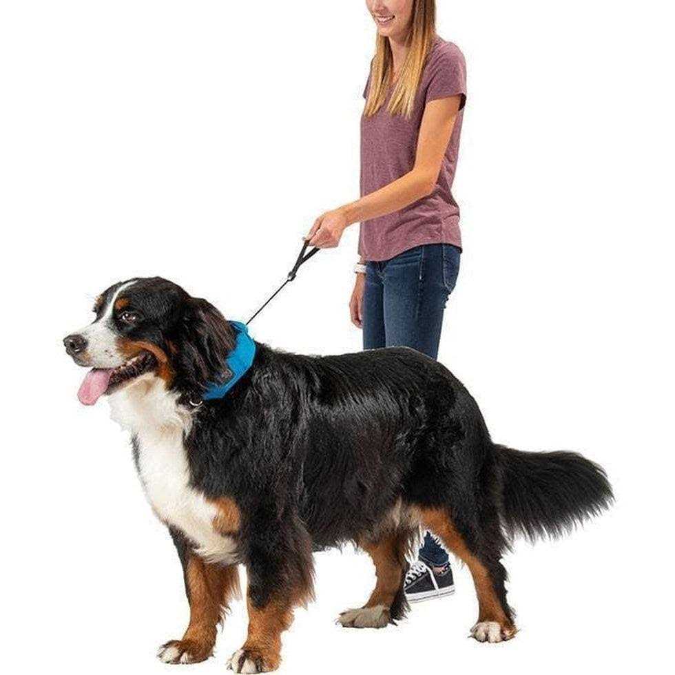 All-In-One Collar + Leash N400