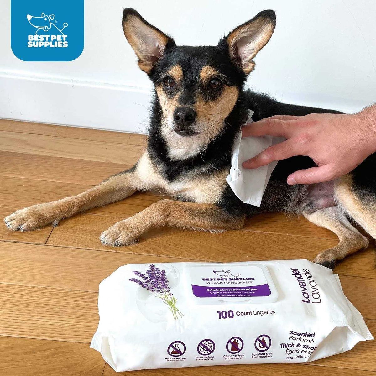 Pet Grooming Wipes for Dogs & Cats E37564