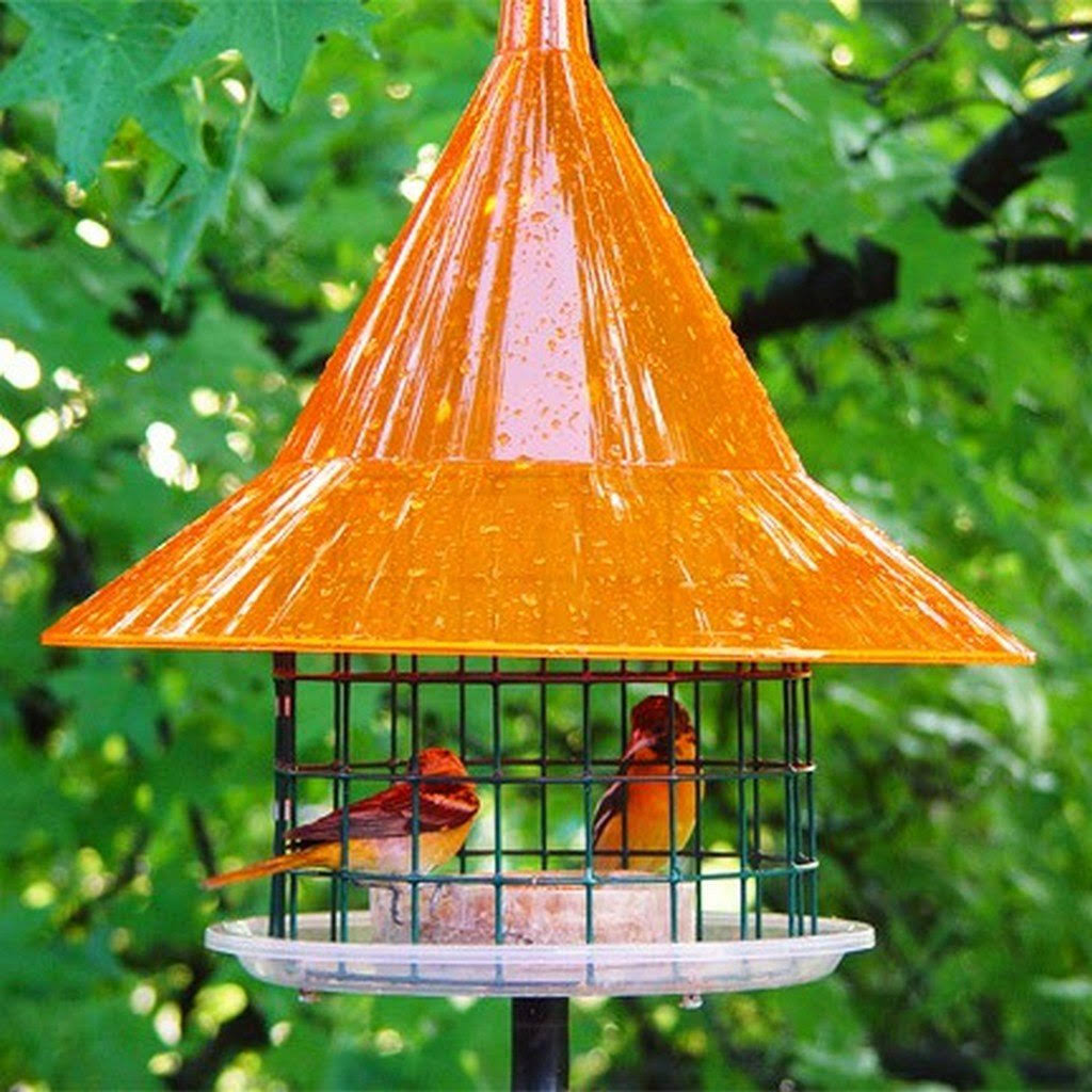 Oriole Feeder O35506