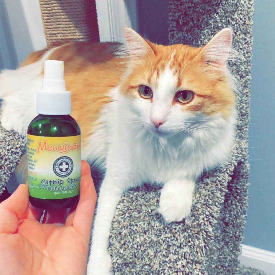 Catnip Spray I8643