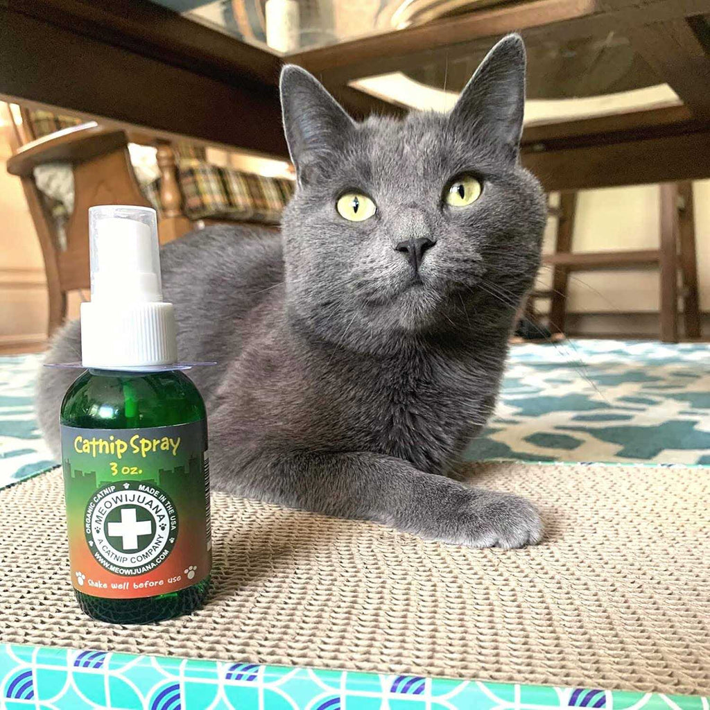 Catnip Spray I8643