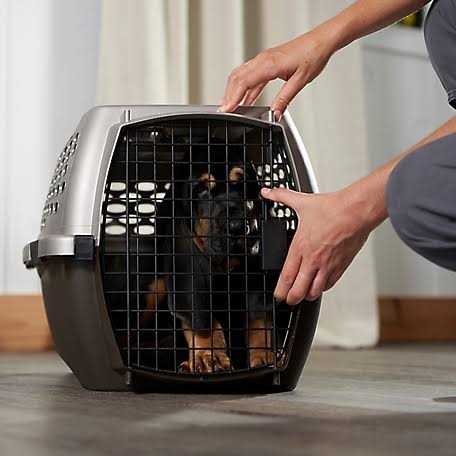 Medium Gray Pet Carrier A821