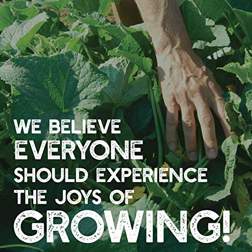 5 lb Non-GMO Cover Crop Seed Mix Z737