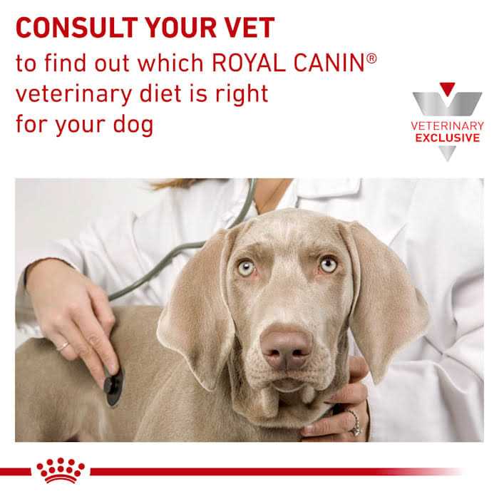 Veterinary Diet Gastrointestinal Low Fat Dry Dog Food M72325