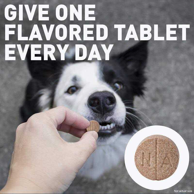 Chewable Tablets C8690