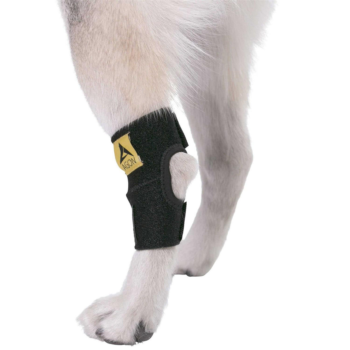 Dog Rear Hock Joint Brace Compression Wrap With Straps M971978