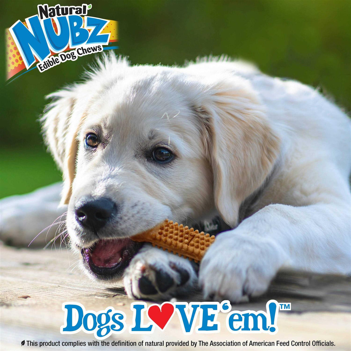 Turkey and Sweet Potato Dental Dog Treats E437245