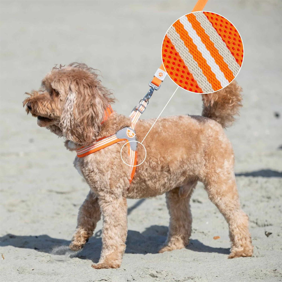 Dog Harness R4774