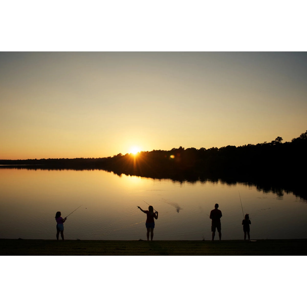 Spinning Fishing Rod N72567