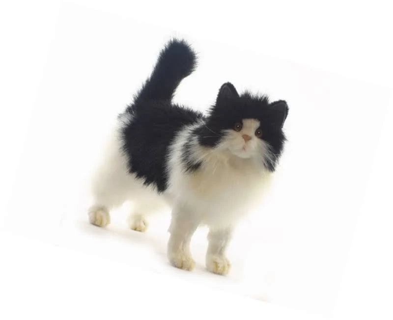 Black and White Cat Plush B549159
