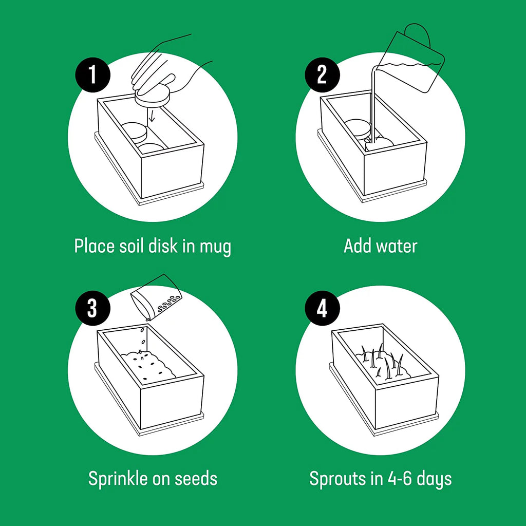 Organic Cat Grass Growing Kit with Seed Mix, Soil and Ceramic Planter H55793