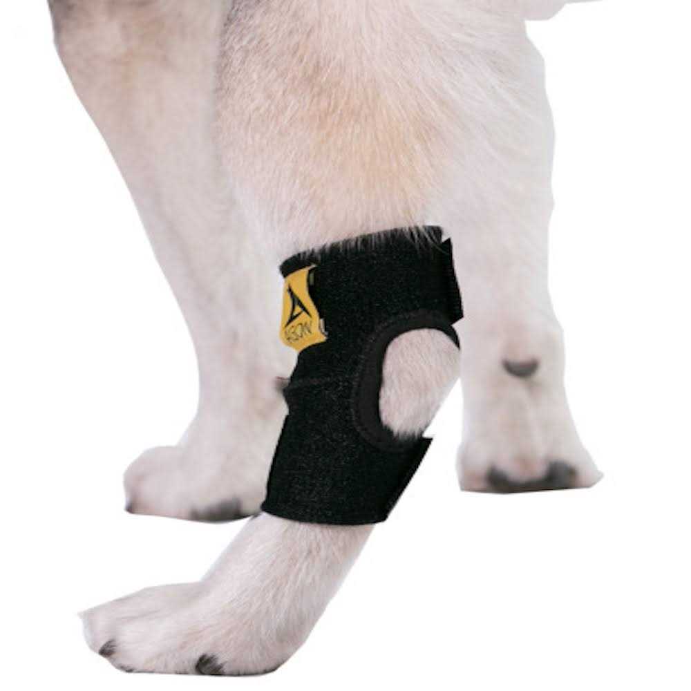 Dog Rear Hock Joint Brace Compression Wrap With Straps D423