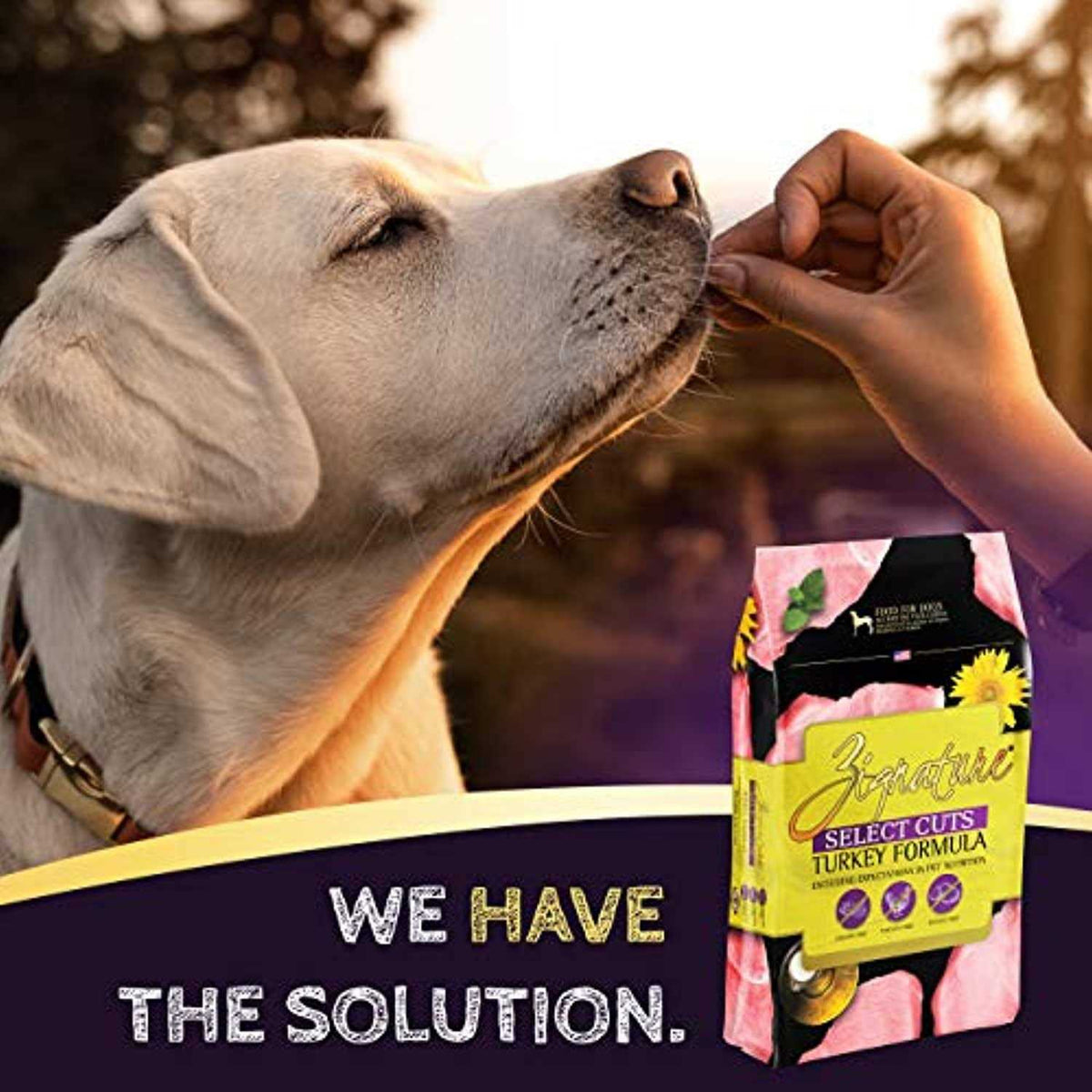 Turkey Formula Dry Dog Food Z11571