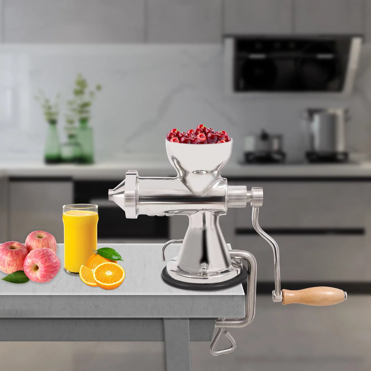 Manual Juicer Hand Fruit Vegetables Extractor R45113