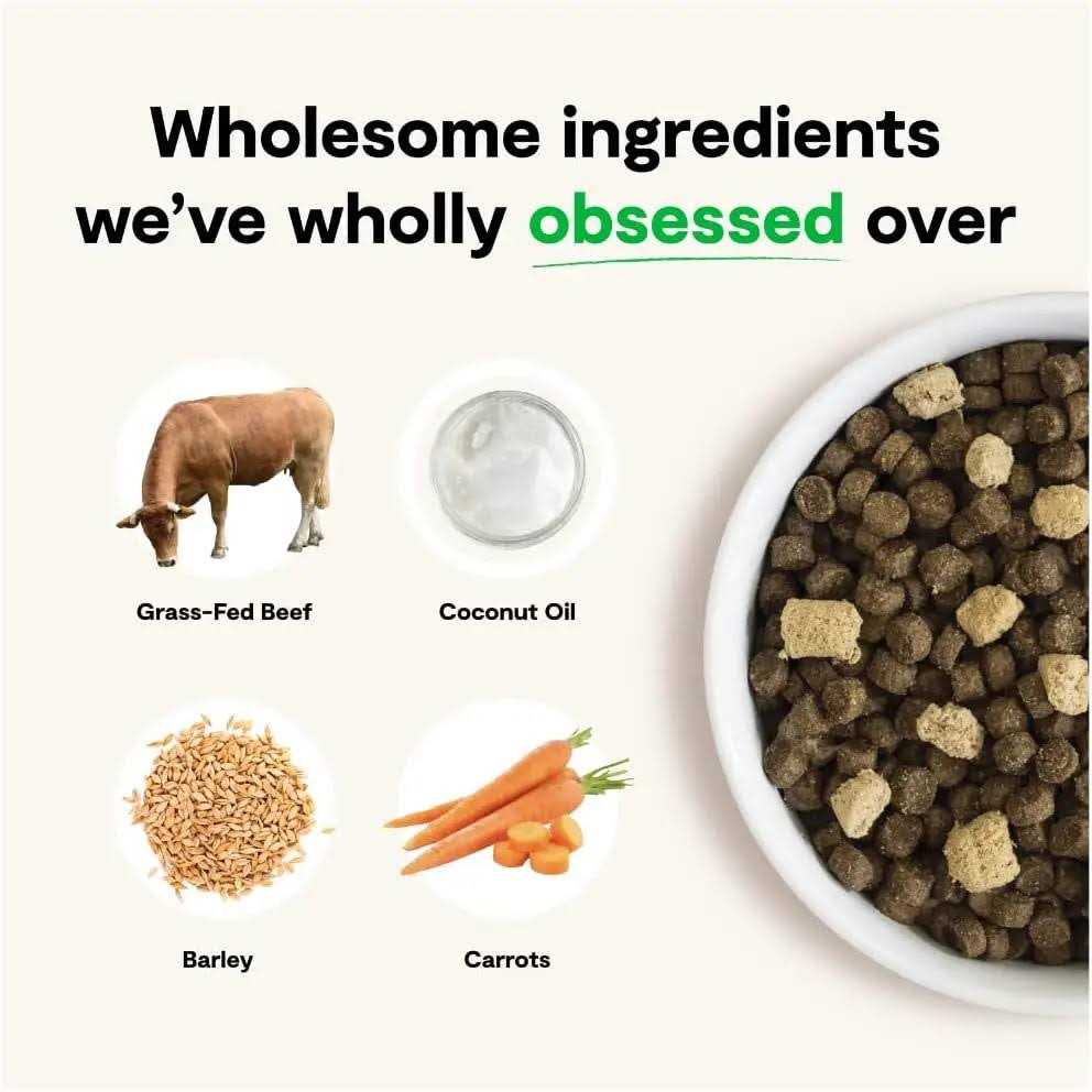 Dry Dog Food W124337