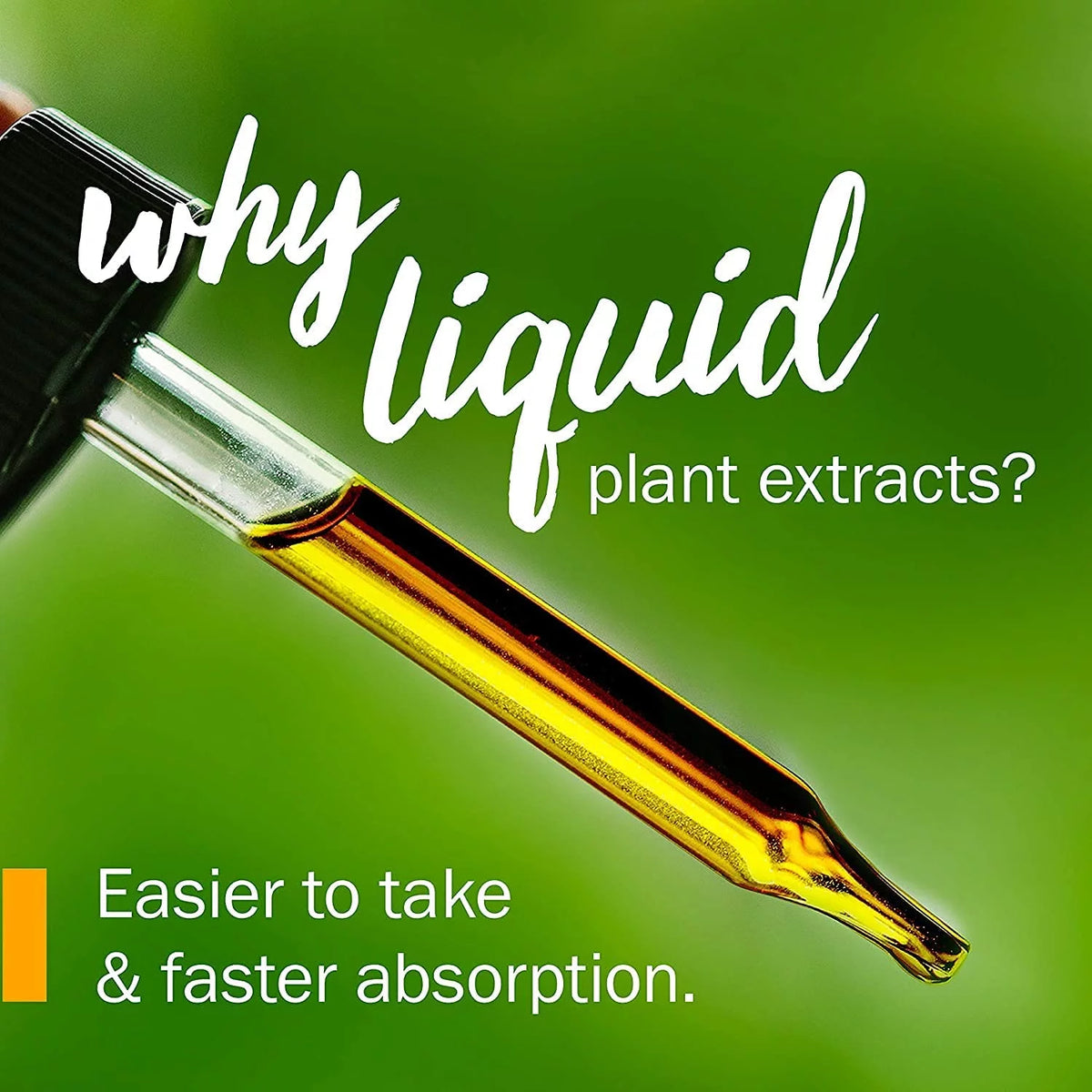 Organic Black Elderberry Liquid Extract 1 Oz Z25746