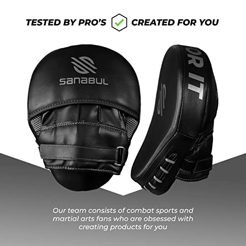 Curved Punching Mitts for Boxing U8242