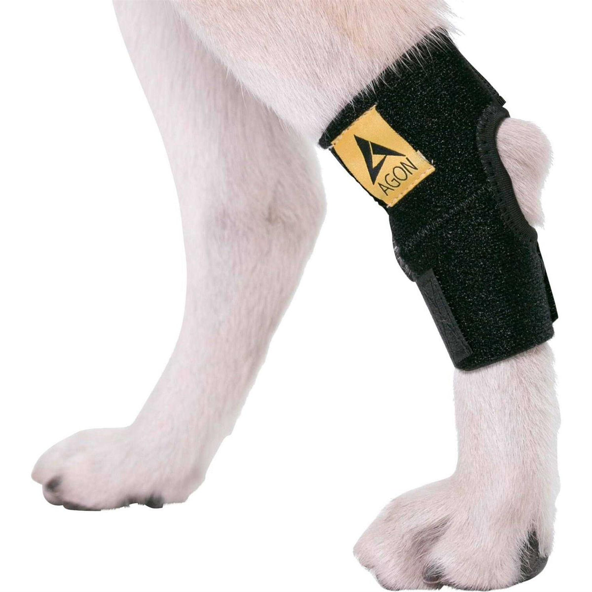 Dog Rear Hock Joint Brace Compression Wrap With Straps D423